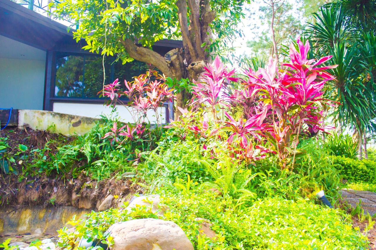 Bird Land Resort Khao Kho Eksteriør billede