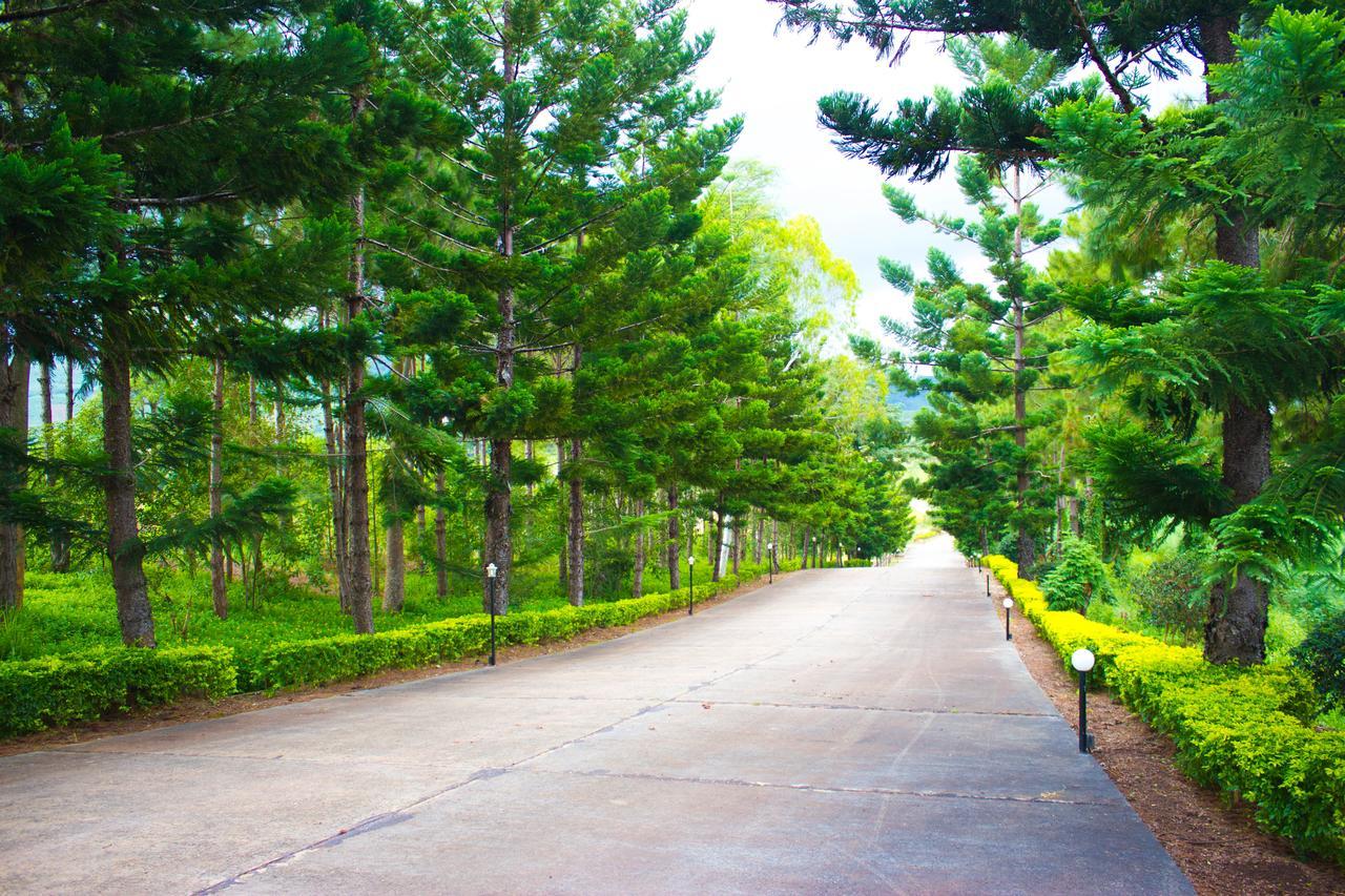 Bird Land Resort Khao Kho Eksteriør billede