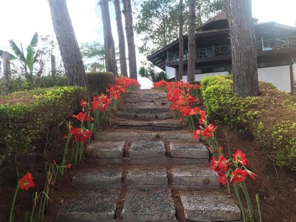 Bird Land Resort Khao Kho Eksteriør billede